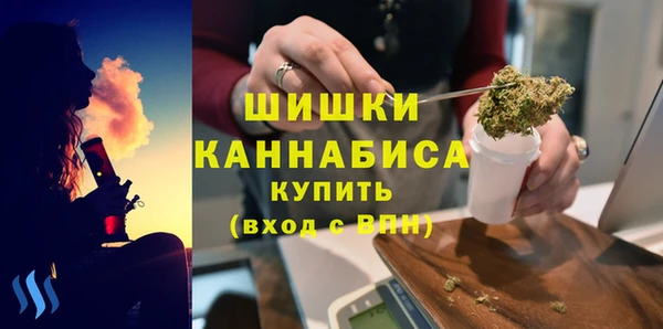ешки Снежногорск