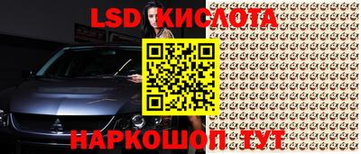 ГАЛЛЮЦИНОГЕННЫЕ ГРИБЫ Нарткала