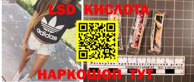 ГАЛЛЮЦИНОГЕННЫЕ ГРИБЫ Нарткала