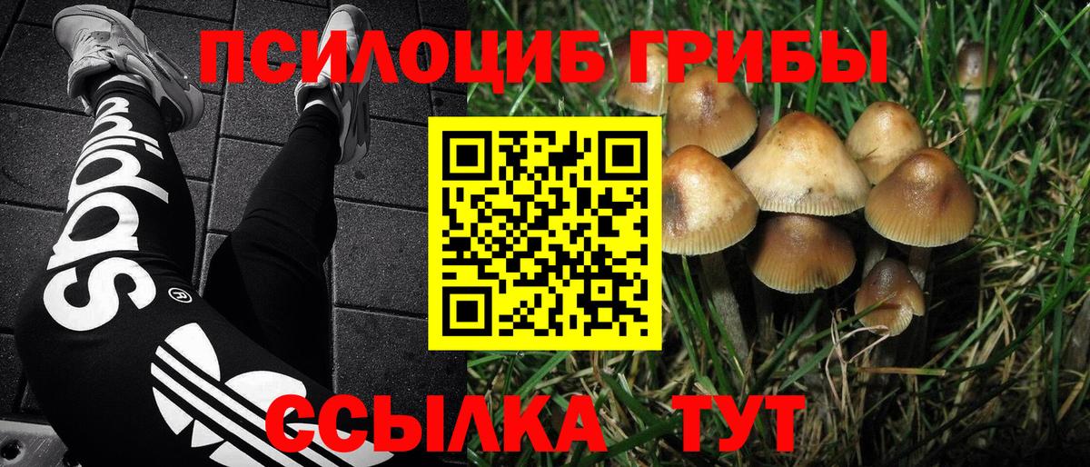 Верхний Уфалей  Псилоцибиновые грибы мицелий  Псилоцибиновые грибы мухоморы  Вход с VPN 