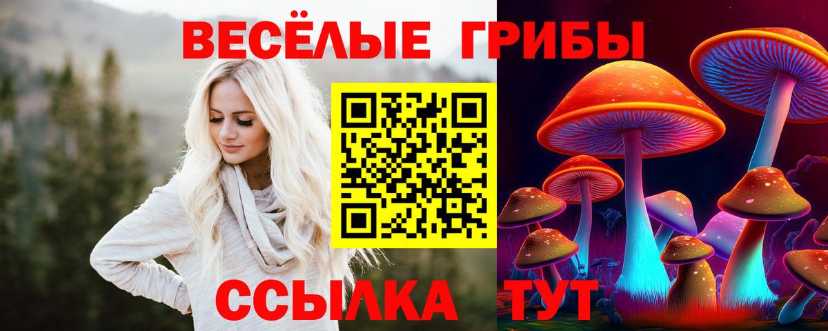 Псилоцибиновые грибы прущие грибы Верхний Уфалей